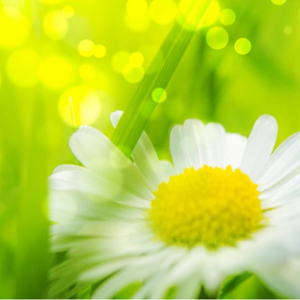 午夜男同女同在线观看
