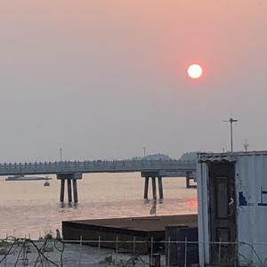 午夜男同女同在线观看
